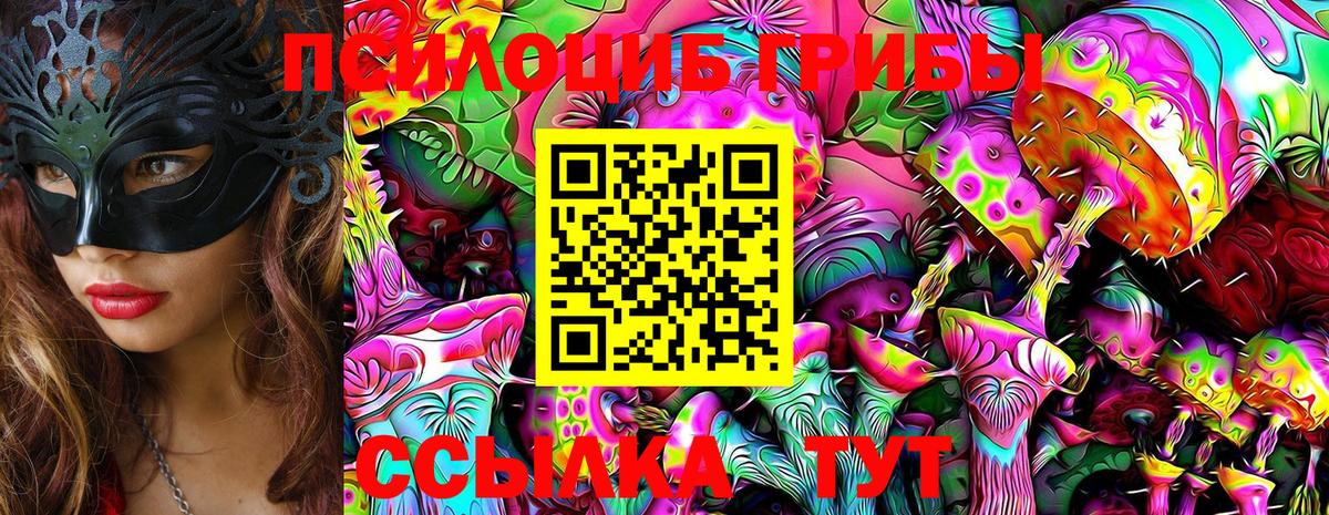 Псилоцибиновые грибы мицелий Балахна